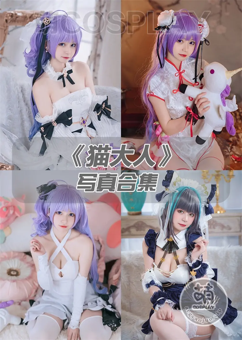 猫大人写真合集(持续更新)